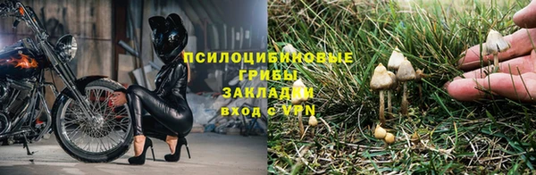 jwh Алзамай