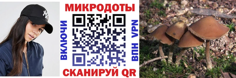 хочу наркоту  Уяр  MEGA ТОР  Галлюциногенные грибы прущие грибы 
